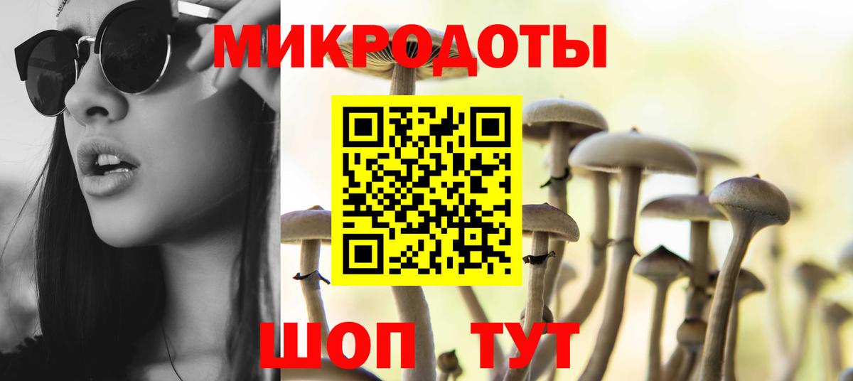 Псилоцибиновые грибы Cubensis  Вход с VPN  Когалым 